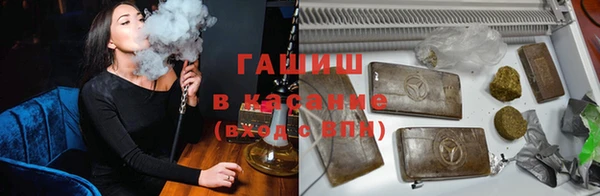 сатива Балахна