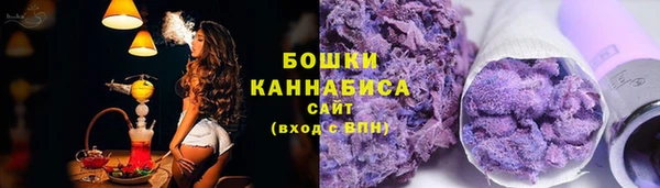 сатива Балахна