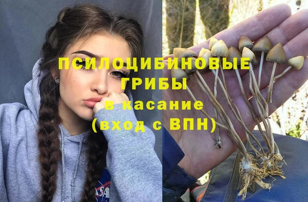 PSILOCYBIN Вяземский