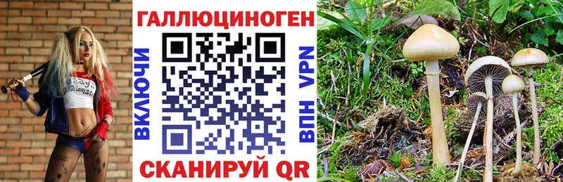 МЕГА ТОР  закладки  Володарск  Галлюциногенные грибы прущие грибы 